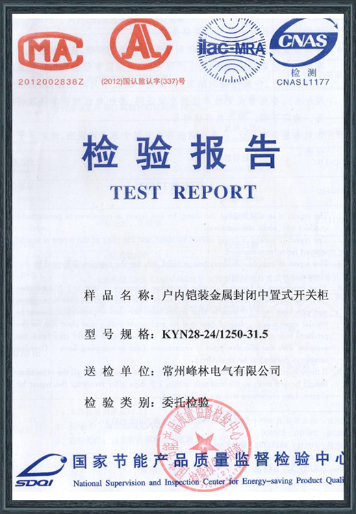 户内铠装金属封闭中置式开关柜检验报告